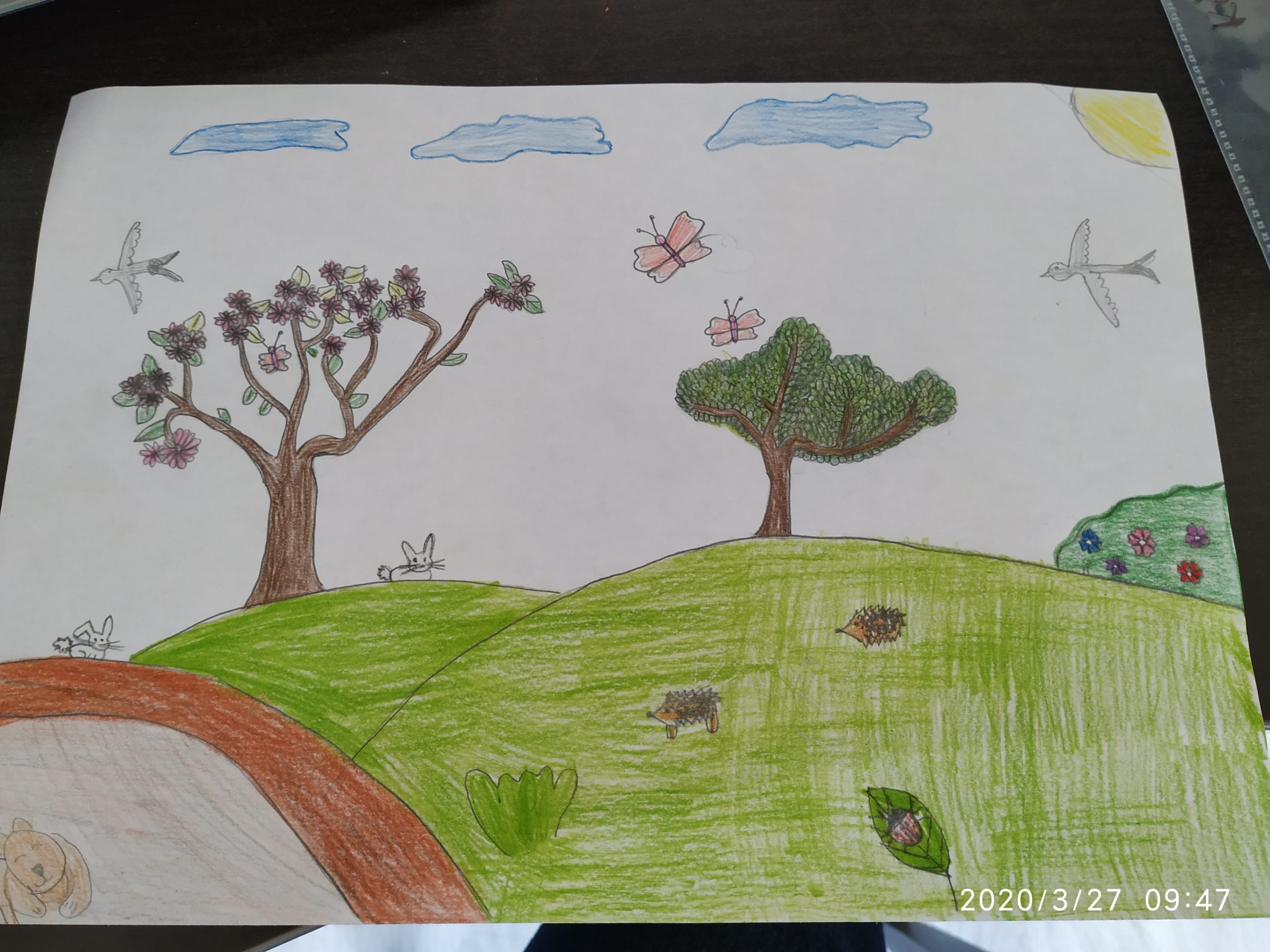 Kővári Krisztina (tavasz), 8 éves