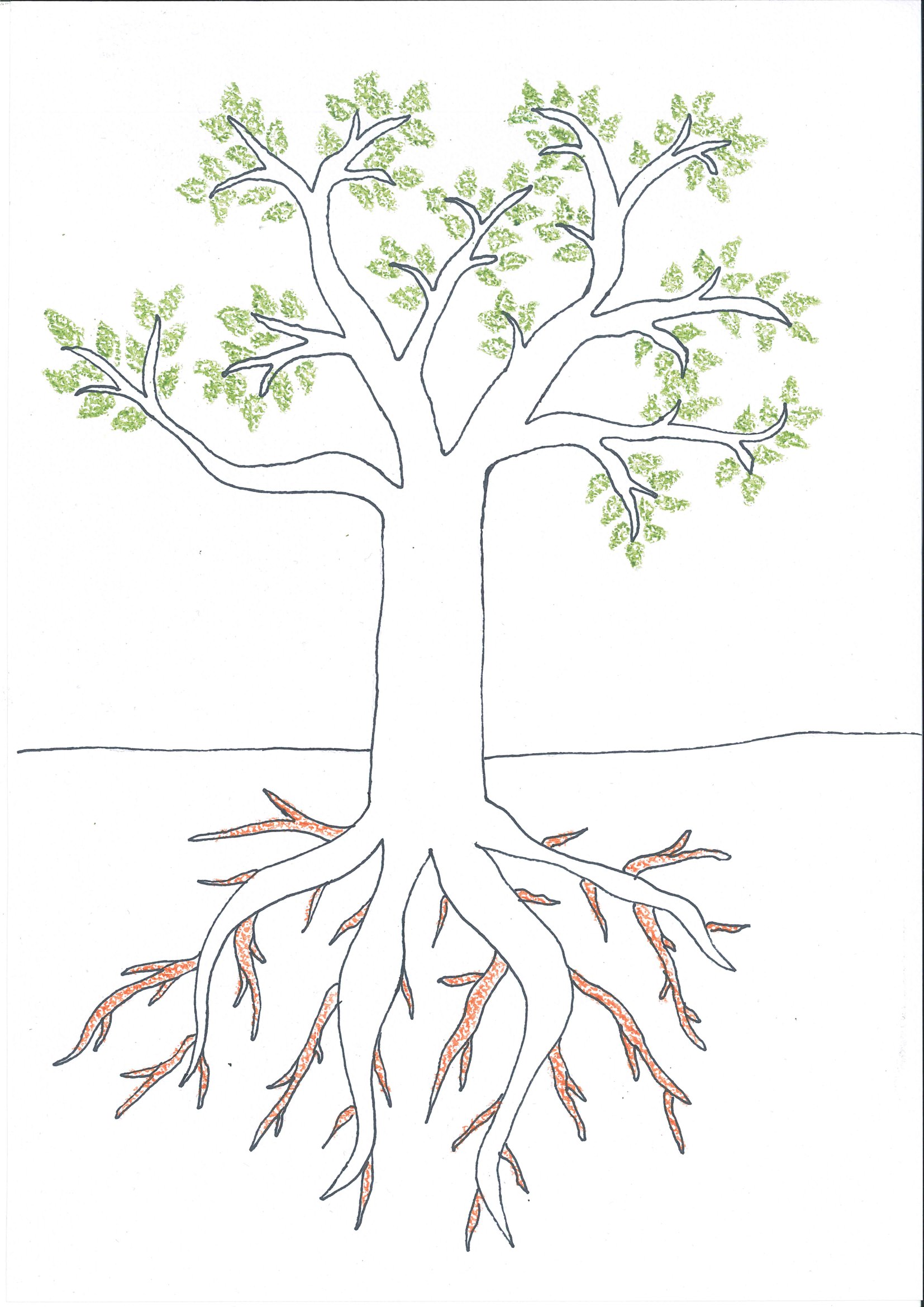 Csonka Fruzsina (A magányos fa sem magányos)